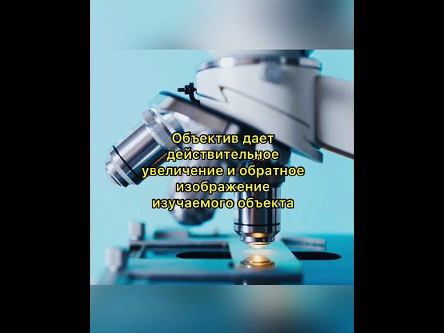 Микроскопия