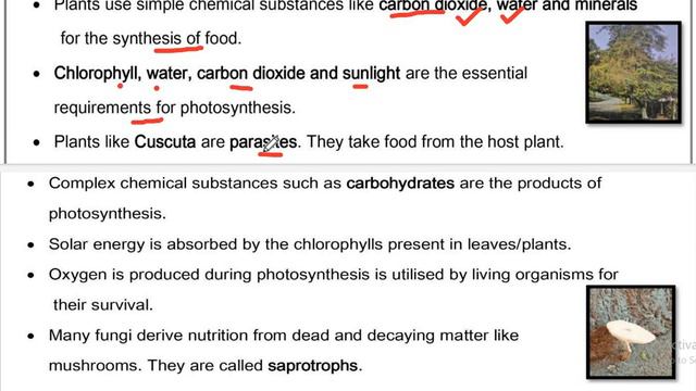 Class 7 Science Worksheet No.20 || 23 Sep 2021 || English Medium || Nutrition in Plants || RFS смотреть онлайн