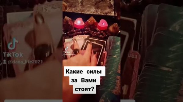 Какие силы за вами стоят!?