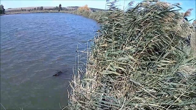 Рыбалка на КМВ, ст. Лысогорская смотреть онлайн