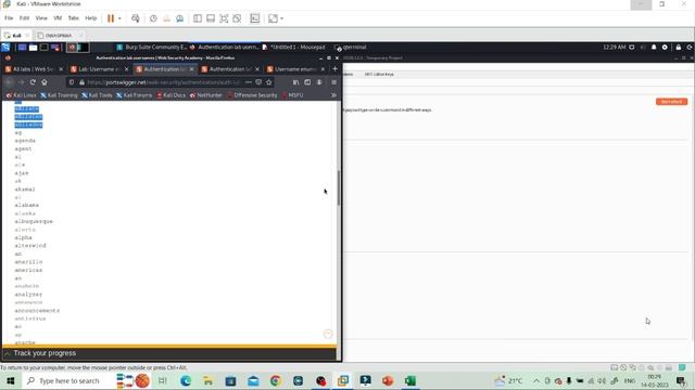 Identification & Authentication Failures - Labs || Portswigger||OWASPBWA-Mutillidae II [ In Hindi ] смотреть онлайн