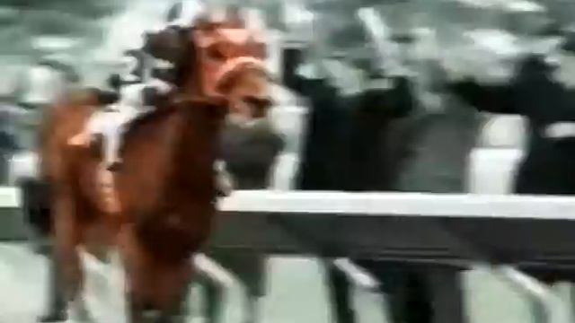 favorit смотреть онлайн