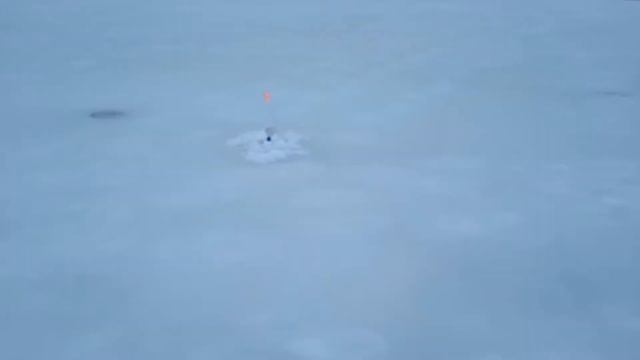 Когда совсем не везёт с рыбалкой. Рыба хитрее меня. смотреть онлайн