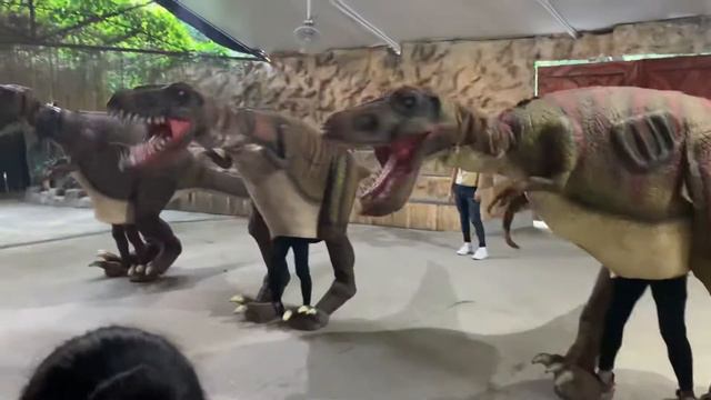 Dancing dinosaurs in Dinosaur island смотреть онлайн