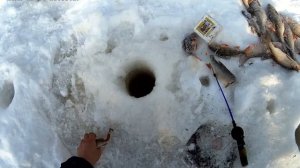 Клёвая рыбалка на Етыпуре часть-2. Язь «бьет в лёт» , дуплетом! Рыбалка мечты!