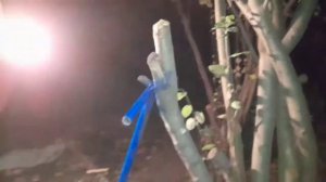 Трюковой самокат 2,,Покраска''