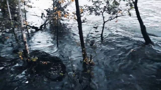 VID 20231012 194313 Когда прекрасные глаза твои в изгнанье..(Пьер де Ронса) Павел Васильев Лахтинки смотреть онлайн
