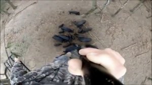 УБИЙСТВО КАБАНА КОПЬЁМ! ДИКАЯ ОХОТА