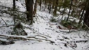 первый выход