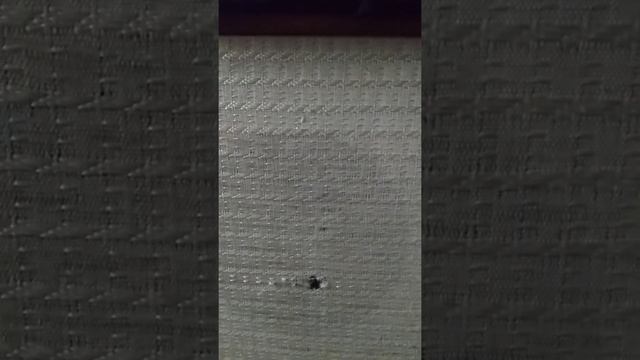 Акустика Симфония и Victor compact component MD system NX-MD3 смотреть онлайн