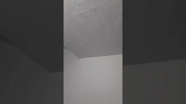 Шагрень подьезда. Такое себе.... смотреть онлайн