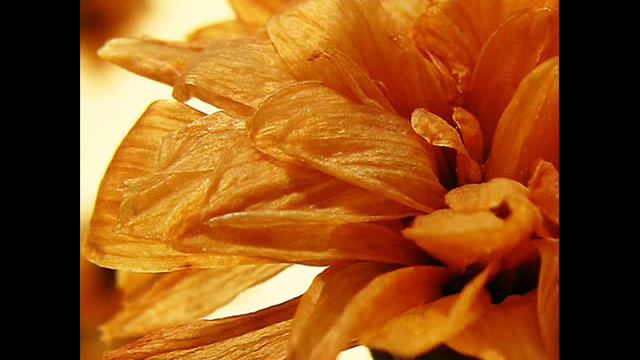 Любимые песни ХХ века смотреть онлайн