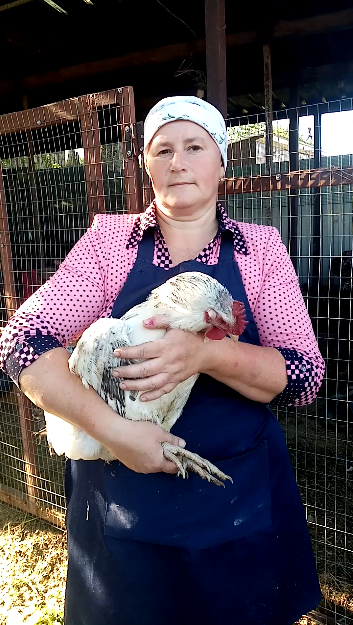 Мастер Грей - бройлер твоей мечты. смотреть онлайн