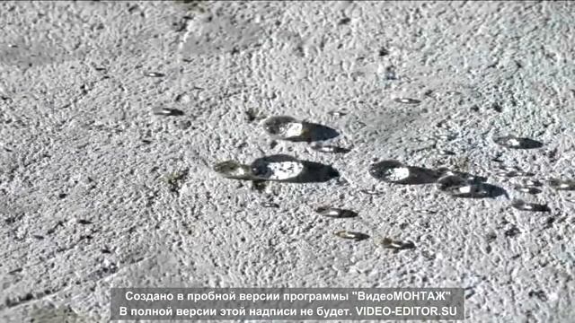 Газобетонные блоки и их свойства смотреть онлайн