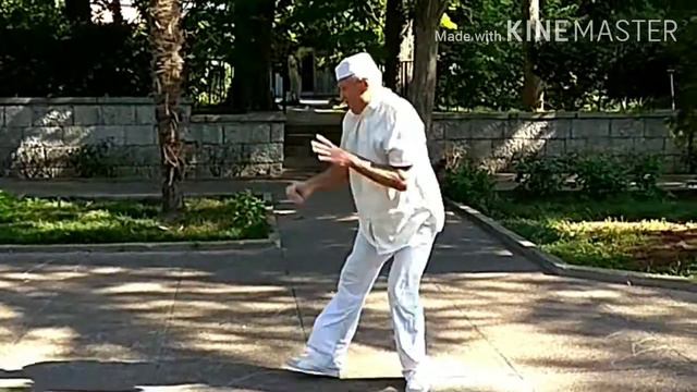 Мусульманские стили ушу. Ма Ши Тунбэй Ушу. Muslim Styles Wushu. Ma Shi Tongbei Wushu.