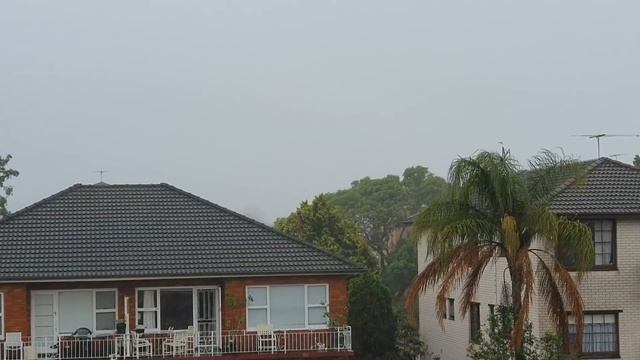 Ураган в Сиднее вырывал деревья с корнями .Такого не было 30 лет. 8 , 9 .10 Февраля 2020. смотреть онлайн