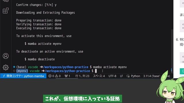 conda と pip を併用｜環境を壊さない使い方【Python／ずんだもん解説】 смотреть онлайн