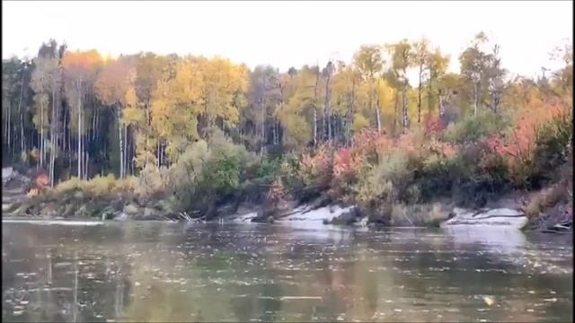 Река Четь, картинки осени. смотреть онлайн
