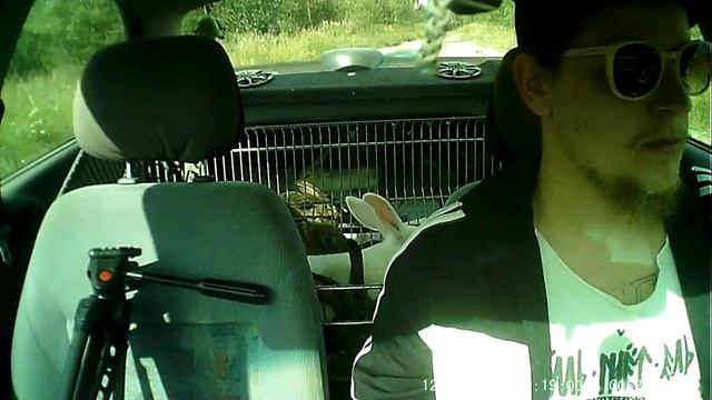 МАССОВОЕ ПЕРЕСЕЛЕНИЕ КРОЛИКОВ // КРОЛИКОВОДСТВО // ХАТА С КРАЮ // ЖИЗНЬ В ДЕРЕВНЕ смотреть онлайн