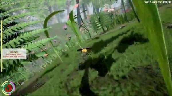 Nature And Life - Drunk On Nectar. Божья коровка.