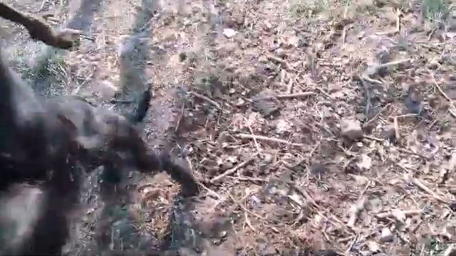 БУРАТ ОЧЕНЬ СОСКУЧИЛСЯ смотреть онлайн