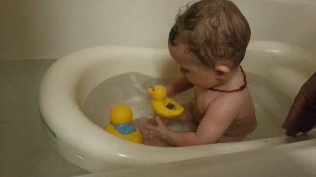 Rubber ducky bath fun (8 mo) смотреть онлайн