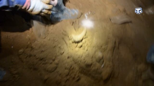 Найдена самая большая карстовая пещера в предгорном Крыму смотреть онлайн