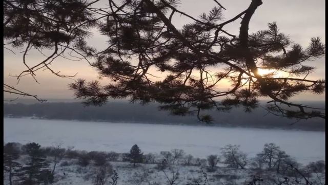 Деревья в саду на морозе как в сказке... Застыли в глубоком серебряном сне... смотреть онлайн