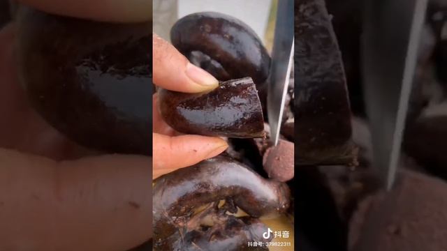 Eating Disgusting 🤮 Food