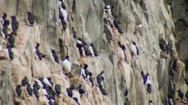 Земля Франца Иосифа смотреть онлайн