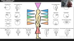 Восстановление эндокринной системы у детей и взрослых. Руденко В.В. Академия Целителей.mp4