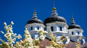 Храм блаженной Ксении Петербургской на Сольбе