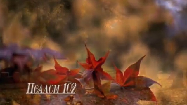 Псалом 102