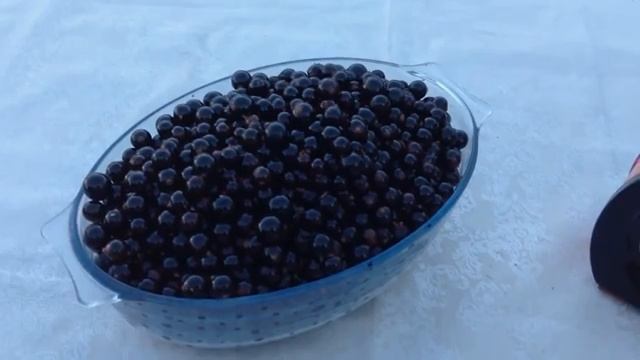 Смородина протертая с сахаром на зиму, которая не забродит.mp4 смотреть онлайн