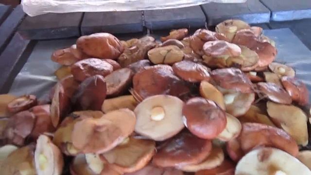 Ладожские маслята . смотреть онлайн