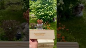 Обзор Гигантская дженга XXL