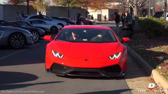 DC Exotics 1 Year Anniversary // Sights & Sounds смотреть онлайн