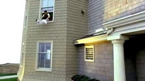 Top Movies (Американский пирог 3 - Американская свадьба - 2003)