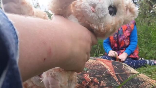 Рыжий кот от Furrial Friends с братом близнецом