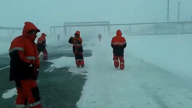 Север идем на обед))) смотреть онлайн