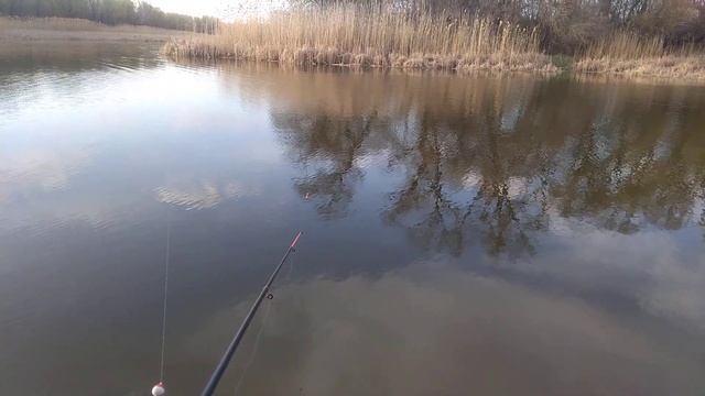 клевое место #рыбалка #поплавок #река #отдых смотреть онлайн