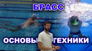 Техника плавания брассом | Брасс для новичка | Брасс для начинающего