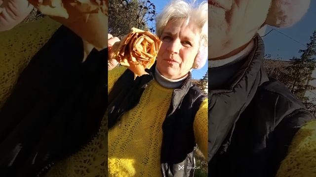 Мастер класс : как сотворить букет осенних роз смотреть онлайн