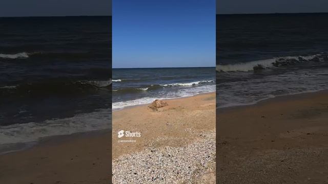 Как вы проводите отпуска? Активно или спокойно? #антонобзорюга смотреть онлайн