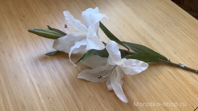 ЛИЛИЯ МЕРЦАЮЩАЯ, заснеженная, 80 см 629126 смотреть онлайн