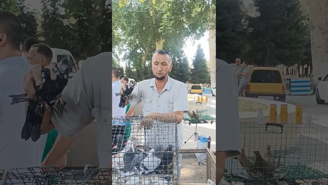 5 июля 2023 г. смотреть онлайн