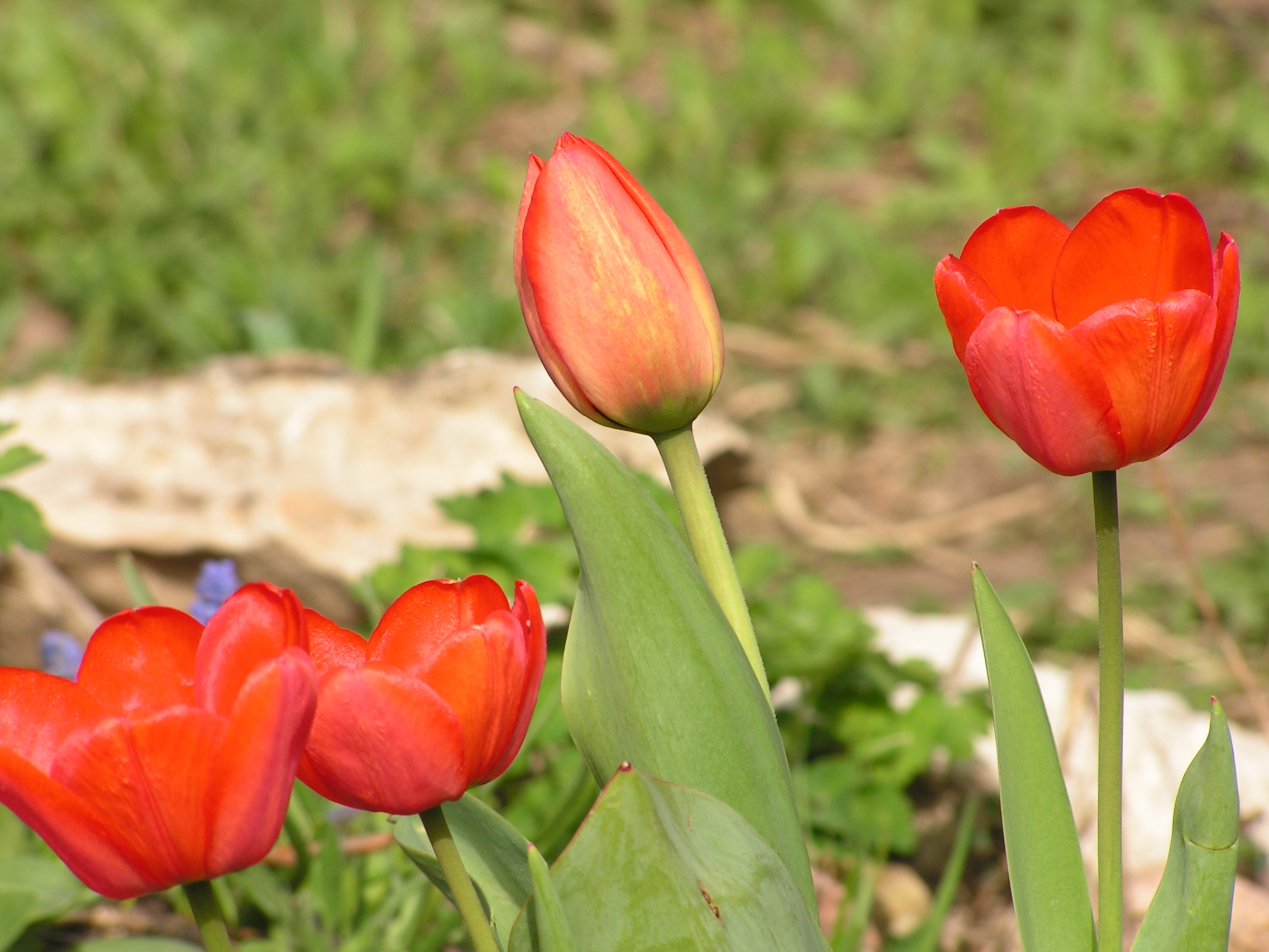 Победная! 9 мая! смотреть онлайн