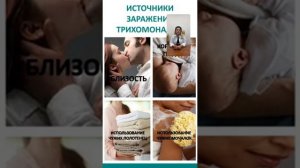 Доктор Елена Глазунова. Простейшие. Как влияют на наш организм