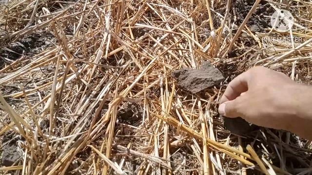 Настоящий коп на поле с Т-90.