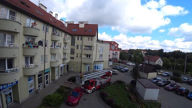 Спасение кота смотреть онлайн